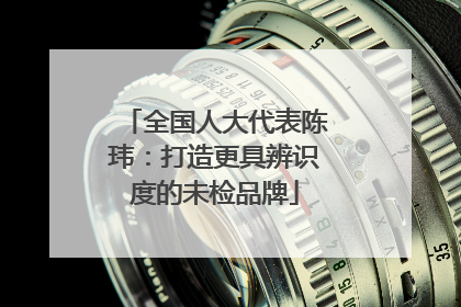 全国人大代表陈玮：打造更具辨识度的未检品牌