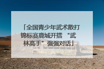 全国青少年武术散打锦标赛鹿城开擂 “武林高手”强强对话