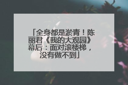 全身都是淤青！陈丽君《我的大观园》幕后：面对滚楼梯，没有做不到