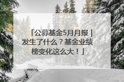 公募基金5月月报｜发生了什么？基金业绩榜变化这么大！
