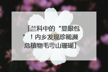 兰科中的“显眼包”！内乡发现珍稀濒危植物毛萼山珊瑚