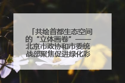 共绘首都生态空间的“立体画卷”——北京市政协和市委统战部聚焦促进绿化彩化美化生态空间建设联合协商议政