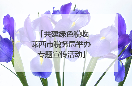 共建绿色税收 莱西市税务局举办专题宣传活动