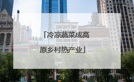 冷凉蔬菜成高原乡村热产业