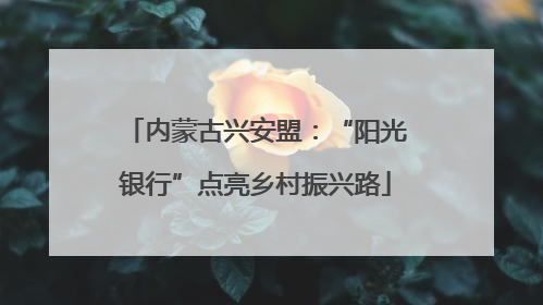内蒙古兴安盟：“阳光银行”点亮乡村振兴路