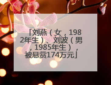 刘燕（女，1982年生）、刘波（男，1985年生），被悬赏174万元