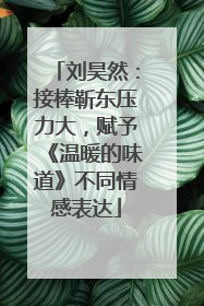 刘昊然：接棒靳东压力大，赋予《温暖的味道》不同情感表达