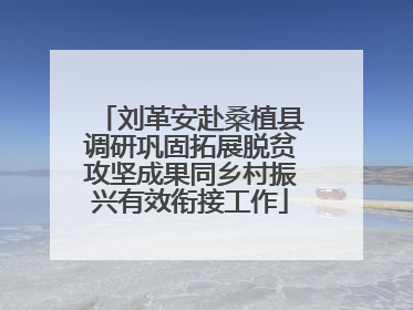 刘革安赴桑植县调研巩固拓展脱贫攻坚成果同乡村振兴有效衔接工作