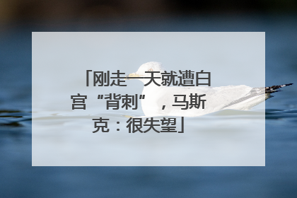 刚走一天就遭白宫“背刺”，马斯克：很失望
