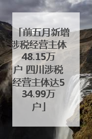 前五月新增涉税经营主体48.15万户 四川涉税经营主体达534.99万户