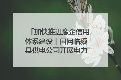 加快推进豫企信用体系建设｜国网临颍县供电公司开展电力行业信用企业现场咨询访谈工作