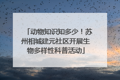 动物知识知多少！苏州相城建元社区开展生物多样性科普活动