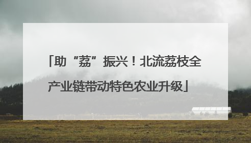 助“荔”振兴！北流荔枝全产业链带动特色农业升级