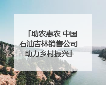 助农惠农 中国石油吉林销售公司助力乡村振兴