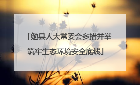 勉县人大常委会多措并举筑牢生态环境安全底线