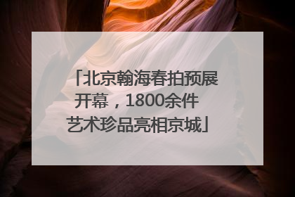 北京翰海春拍预展开幕，1800余件艺术珍品亮相京城