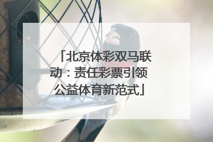 北京体彩双马联动：责任彩票引领公益体育新范式