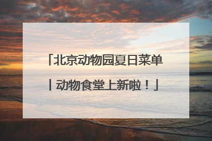北京动物园夏日菜单丨动物食堂上新啦！