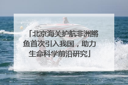 北京海关护航非洲鳉鱼首次引入我国，助力生命科学前沿研究