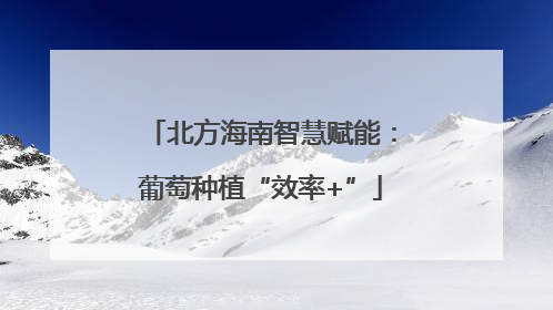 北方海南智慧赋能：葡萄种植“效率+”