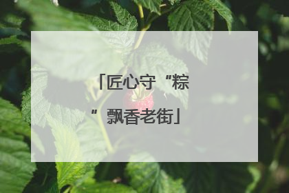 匠心守“粽”飘香老街