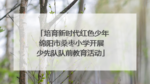 培育新时代红色少年 绵阳市桑枣小学开展少先队队前教育活动