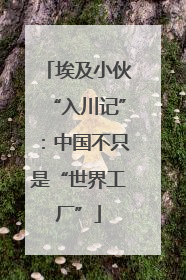 埃及小伙“入川记”：中国不只是“世界工厂”
