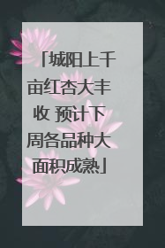 城阳上千亩红杏大丰收 预计下周各品种大面积成熟