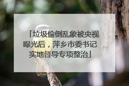 垃圾偷倒乱象被央视曝光后，萍乡市委书记实地督导专项整治