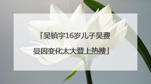 吴镇宇16岁儿子吴费曼因变化太大登上热搜