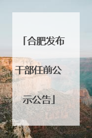 合肥发布干部任前公示公告