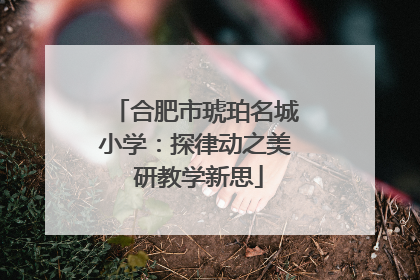 合肥市琥珀名城小学：探律动之美 研教学新思
