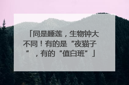 同是睡莲，生物钟大不同！有的是“夜猫子”，有的“值白班”