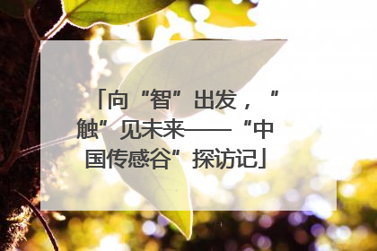 向“智”出发，“触”见未来——“中国传感谷”探访记
