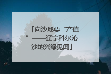 向沙地要“产值”——辽宁科尔沁沙地兴绿见闻