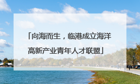 向海而生，临港成立海洋高新产业青年人才联盟