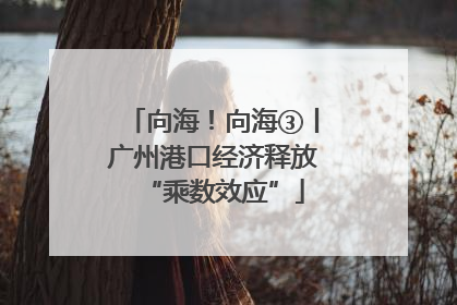 向海！向海③丨广州港口经济释放“乘数效应”