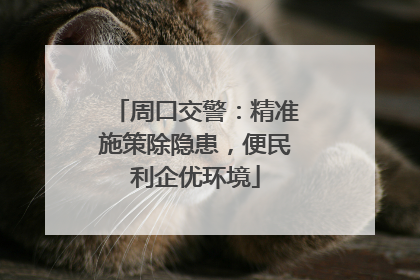 周口交警：精准施策除隐患，便民利企优环境