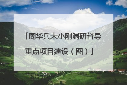 周华兵未小刚调研督导重点项目建设（图）