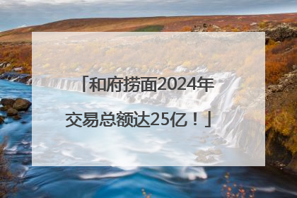 和府捞面2024年交易总额达25亿！