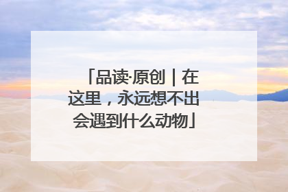 品读·原创｜在这里，永远想不出会遇到什么动物