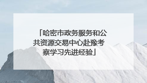 哈密市政务服务和公共资源交易中心赴豫考察学习先进经验