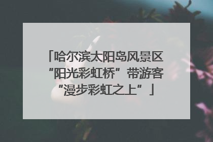 哈尔滨太阳岛风景区“阳光彩虹桥”带游客“漫步彩虹之上”