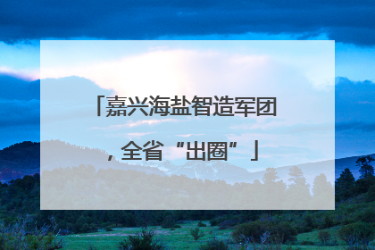 嘉兴海盐智造军团，全省“出圈”