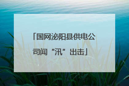 国网泌阳县供电公司闻“汛”出击