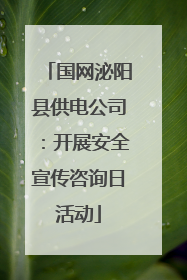 国网泌阳县供电公司：开展安全宣传咨询日活动