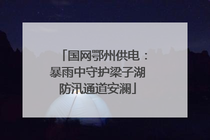 国网鄂州供电：暴雨中守护梁子湖防汛通道安澜