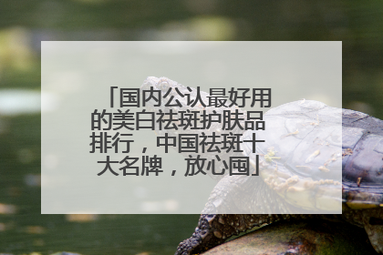 国内公认最好用的美白祛斑护肤品排行，中国祛斑十大名牌，放心囤