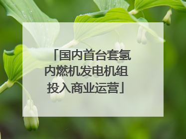 国内首台套氢内燃机发电机组投入商业运营