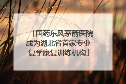 国药东风茅箭医院成为湖北省首家专业复学康复训练机构